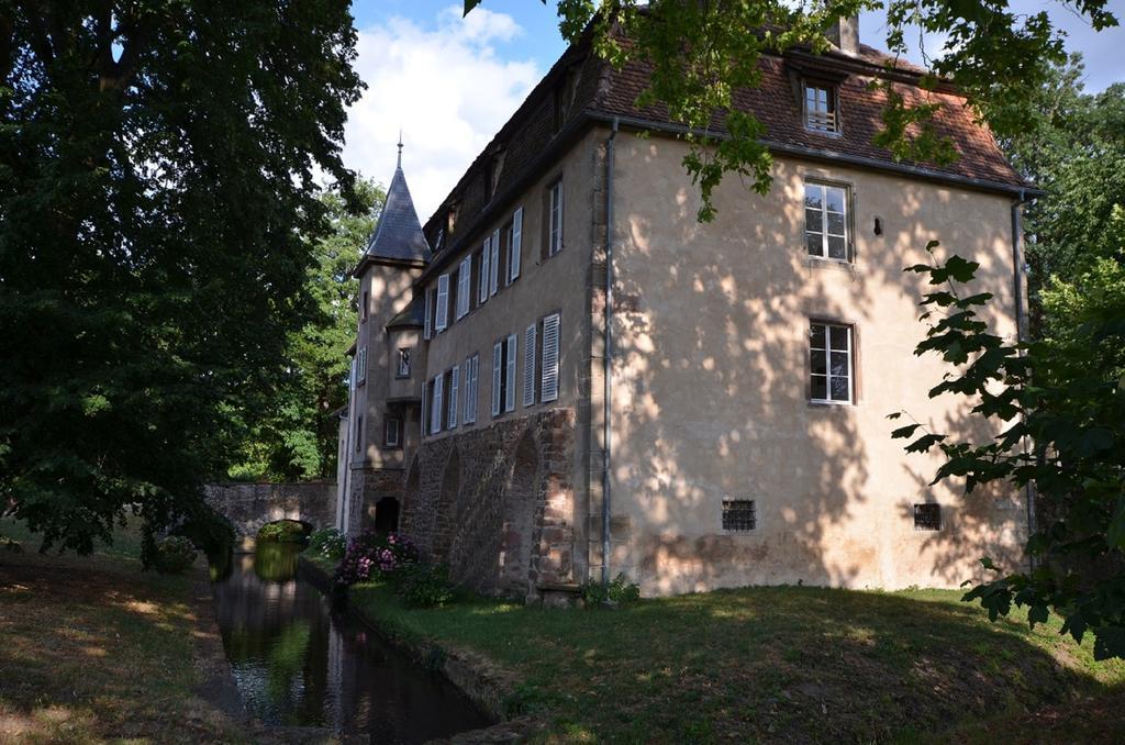 Chambres D'Hotes Chateau De Grunstein Stotzheim Екстериор снимка